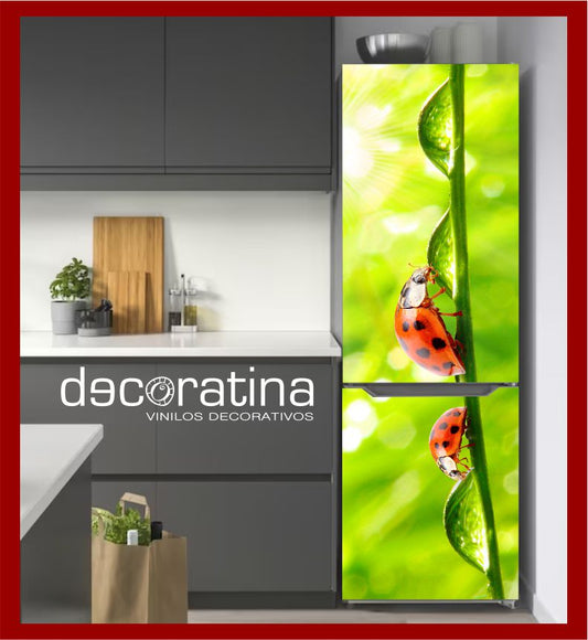 Vinilo Decorativo Nevera "Mariquita"