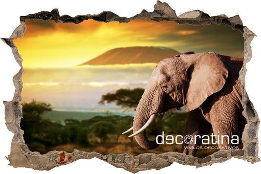 Vinilo Decorativo Pared Rota 3D "Sabana"